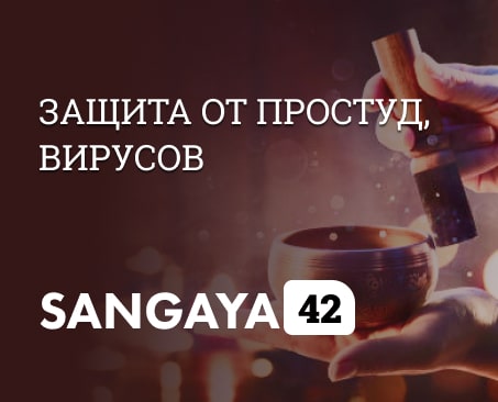 Сангая 42